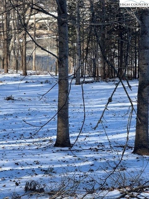  in Warrensville NC TBD Joe Badger (0.905 acre) Road 2.jpg