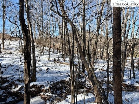  in Warrensville NC TBD Joe Badger (0.905 acre) Road 4.jpg