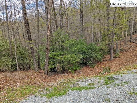  in Deep Gap NC TBD Powder Horn Mountain Road.jpg