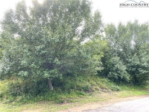  in Piney Creek NC Lot 20 Isabel Way.jpg