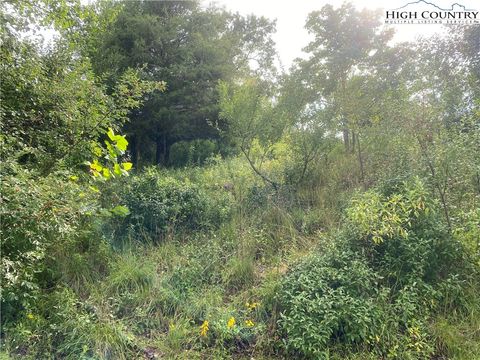  in Piney Creek NC Lot 20 Isabel Way 5.jpg