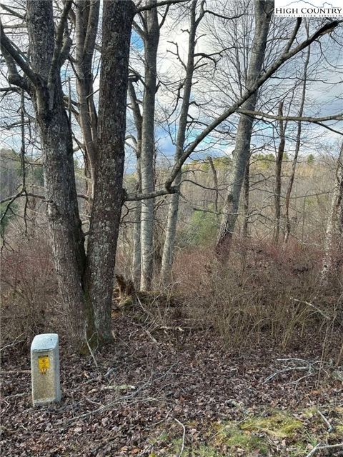  in Piney Creek NC Lot #16 Marios Road.jpg
