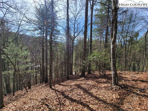  in Fleetwood NC TBD (Lot 72) Creekside Meadows Drive.jpg
