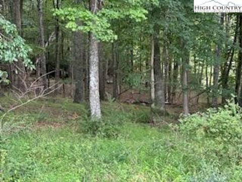  in Piney Creek NC Lot #81 Prime Circle 13.jpg