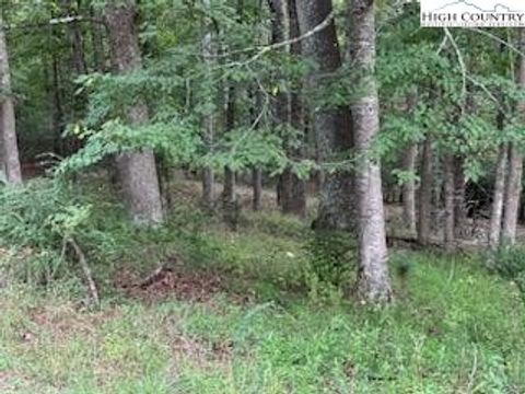 in Piney Creek NC Lot #81 Prime Circle 14.jpg