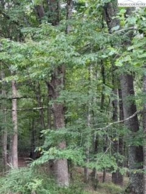  in Piney Creek NC Lot #81 Prime Circle 15.jpg