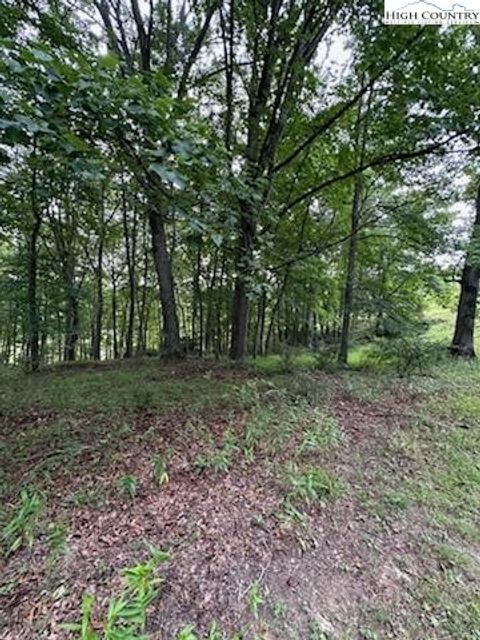  in Piney Creek NC Lot #81 Prime Circle 7.jpg