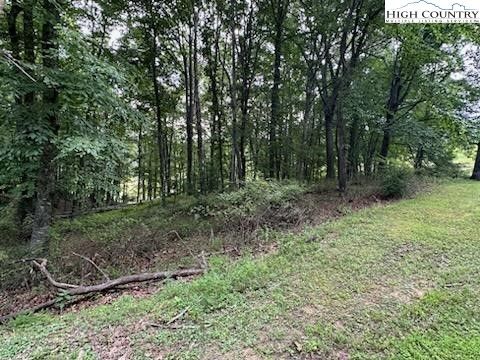  in Piney Creek NC Lot #81 Prime Circle 3.jpg