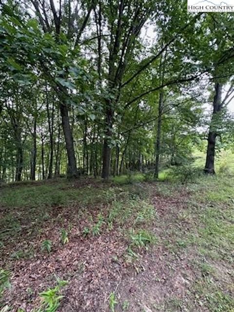  in Piney Creek NC Lot #81 Prime Circle 8.jpg