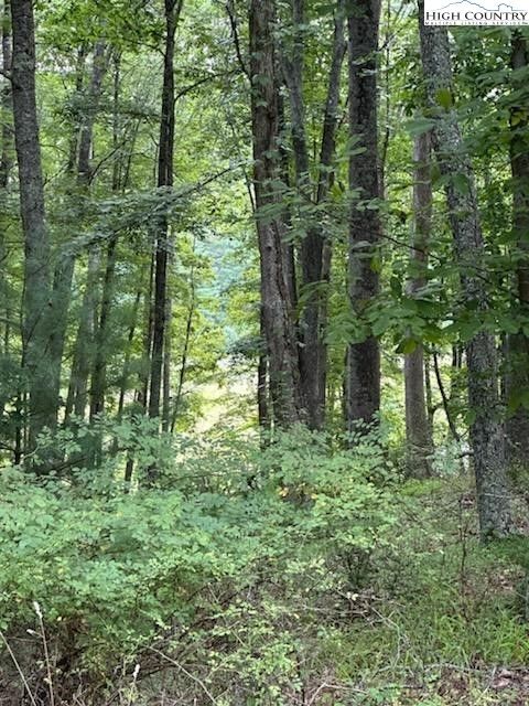  in Piney Creek NC Lot #81 Prime Circle 4.jpg