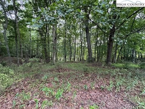  in Piney Creek NC Lot #81 Prime Circle 5.jpg