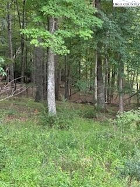  in Piney Creek NC Lot #81 Prime Circle 12.jpg