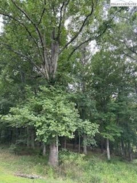  in Piney Creek NC Lot #81 Prime Circle 11.jpg