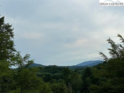  in Piney Creek NC Lot #81 Prime Circle 19.jpg