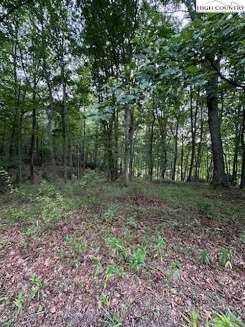  in Piney Creek NC Lot #81 Prime Circle 6.jpg