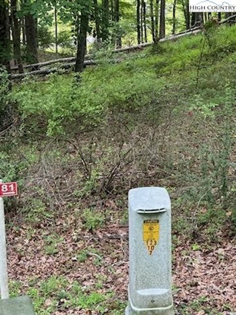  in Piney Creek NC Lot #81 Prime Circle 2.jpg