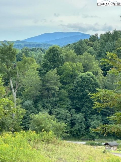  in Piney Creek NC Lot #81 Prime Circle 18.jpg