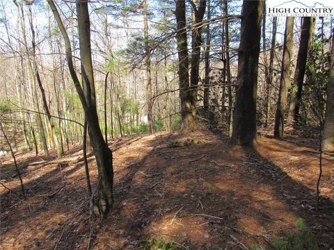  in Sparta NC Lot 6 Green Mountain Road.jpg