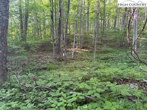  in Creston NC Lot 59 Beechwood Circle.jpg