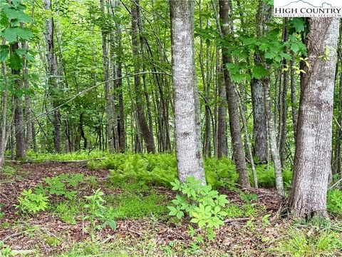  in Fleetwood NC Lot 20 Twin Bridges Circle.jpg