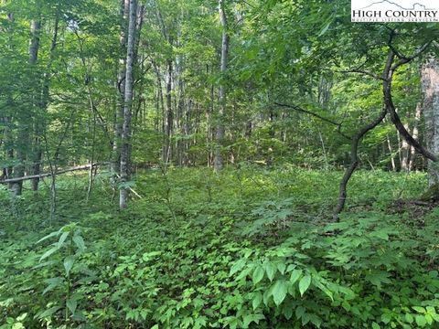  in Creston NC Lot 10 Billy Bob Lane.jpg