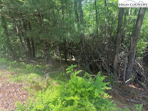  in Sparta NC TBD Deerwood Road #58.jpg