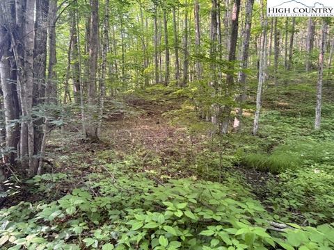 in Creston NC Lot 56 & 57 Beechwood Circle.jpg
