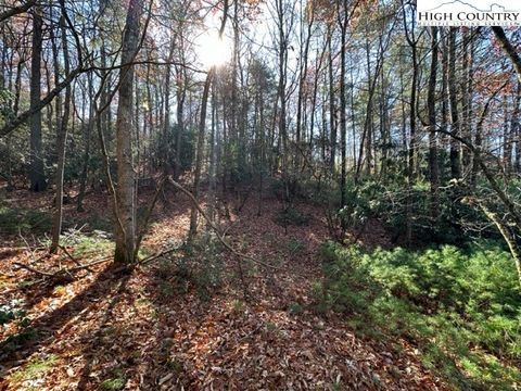  in West Jefferson NC Lot 27 Walden Lane.jpg