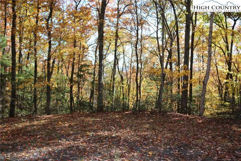 in Fleetwood NC Lot 7 Charlie Warwick Road.jpg