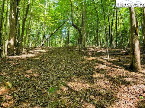  in Deep Gap NC Lot 2B Brightwood Trail.jpg