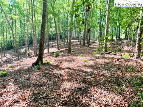  in West Jefferson NC Lot 44 Smoke Rise Path.jpg