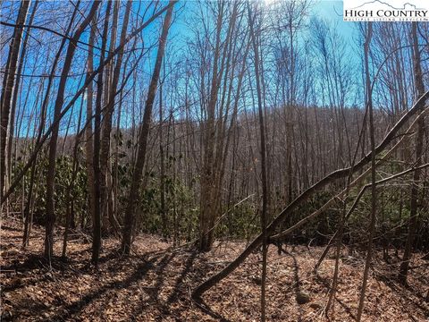  in Elk Park NC Lot 99 Beaver Dam Road.jpg