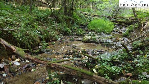  in West Jefferson NC Lot 85 Blueberry Hill.jpg