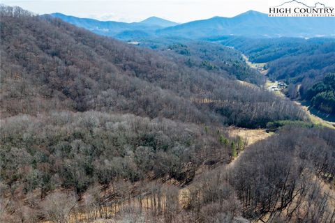  in Warrensville NC 61+ acres TBD Glenn Miller Road.jpg