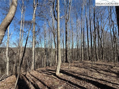  in Grassy Creek NC TBD Highlands Trail.jpg