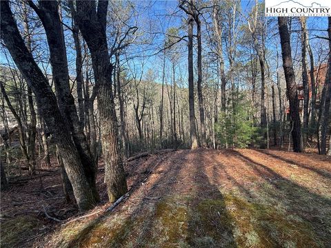  in Deep Gap NC TBD W. Laurel Circle.jpg