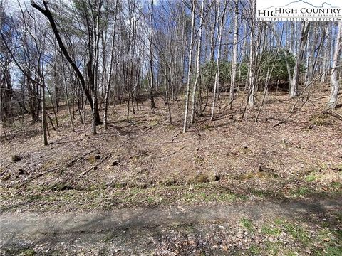  in Warrensville NC tbd Teaberry Road.jpg