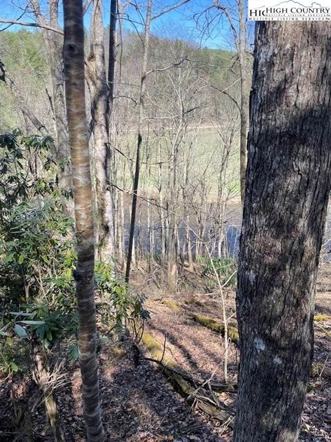  in Crumpler NC TBD Spruce Lane.jpg