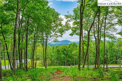  in Boone NC Lot 24 Poplar Forest Drive.jpg