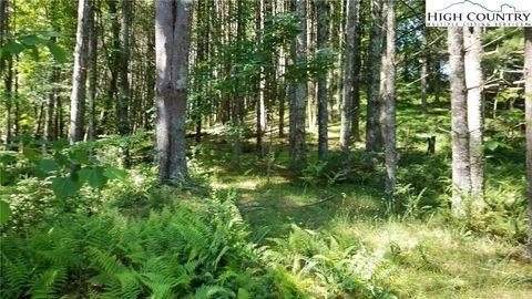  in Piney Creek NC Lot 16 Woodland Drive #16.jpg