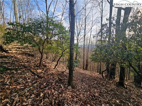  in Grassy Creek NC Lot 111 Sunset View Dr.jpg