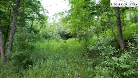  in Piney Creek NC Lot 10 River Country Road.jpg