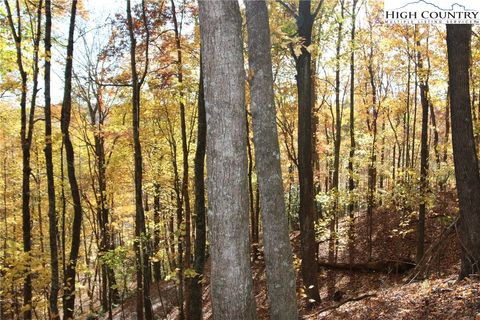  in Fleetwood NC Lot 26 Dawn Warwick Road.jpg