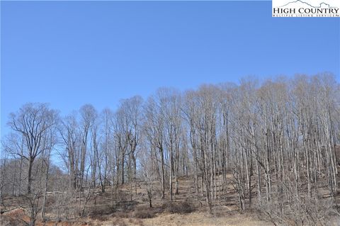  in Warrensville NC TBD Denny Hollow Road 8.jpg