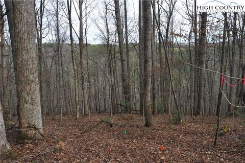  in Warrensville NC TBD Denny Hollow Road 21.jpg