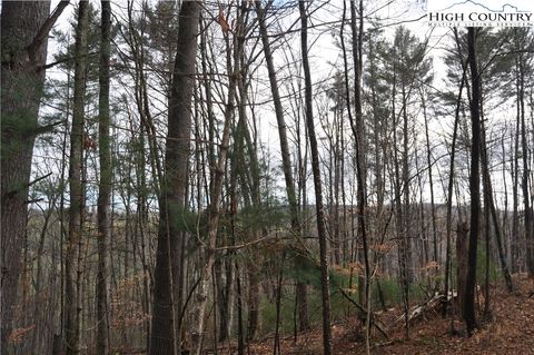  in Warrensville NC TBD Denny Hollow Road 22.jpg