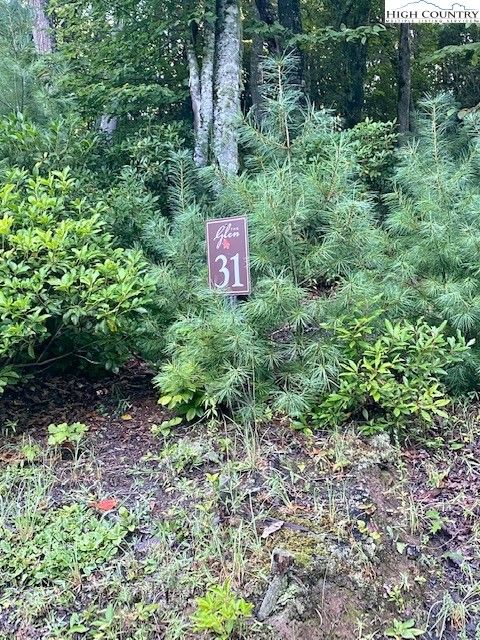  in West Jefferson NC Lot 31 Thoreau Court.jpg