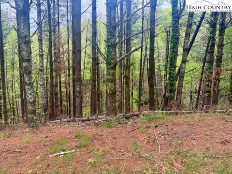  in West Jefferson NC Lot 25 Davis Acres Drive.jpg
