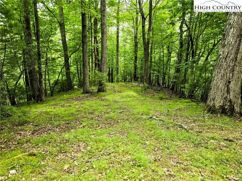  in Deep Gap NC Lot 7 Brightwood Trail.jpg