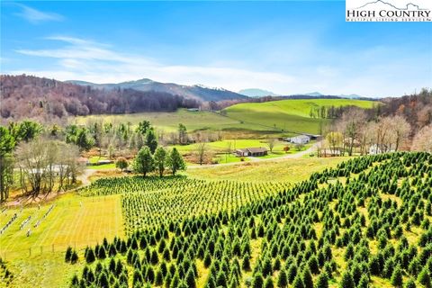 Single Family Residence in Boone NC 6104 Howards Creek Road.jpg